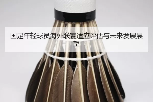 国足年轻球员海外联赛适应评估与未来发展展望